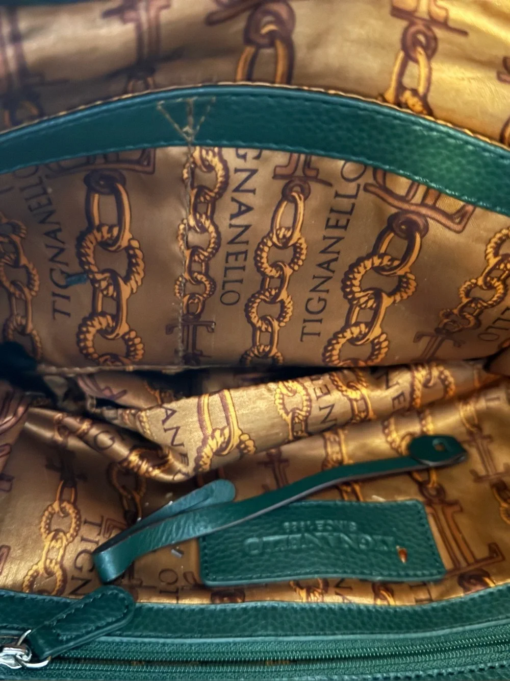 Tignanello Green Suede Hobo Bag
